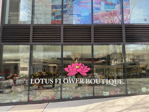 Lotus Flower Boutique
