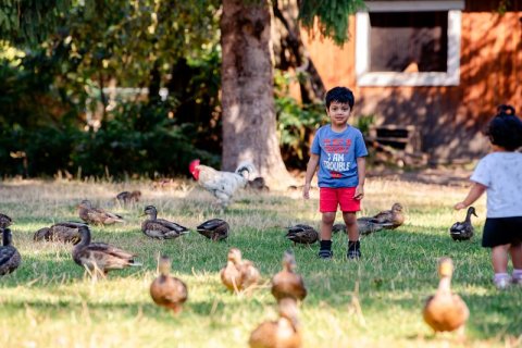 Maplewood Farm