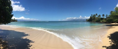 Winter offers a whale of a time on Maui