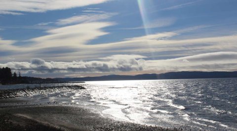 Willingdon Beach Campsite